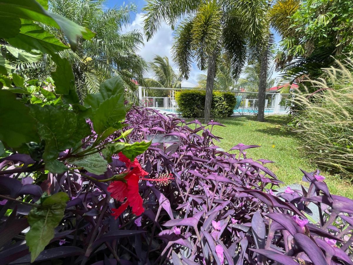Hotel & Villa Le Cocotel Сен-Франсуа Екстер'єр фото